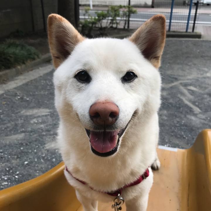 56483ccd d689 4824 bc65 b247328c6df7