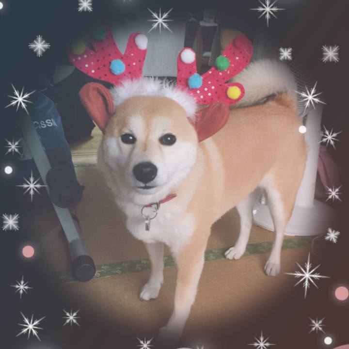 56485c90 e472 4562 9d75 40a26cf8a3d4