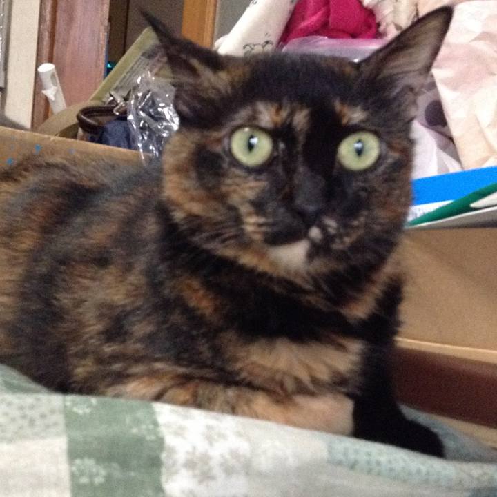 5648c050 5cf2 49bc a947 a5ea12ea8b2b