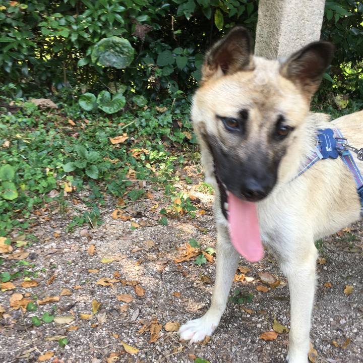 5648e7cb 6b66 4f16 b7e8 12dea717badd