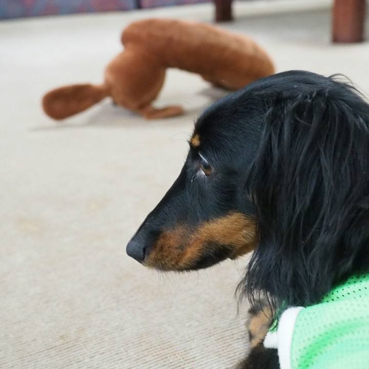 56492ffd a667 4c58 ab53 1202cf5d7ab8