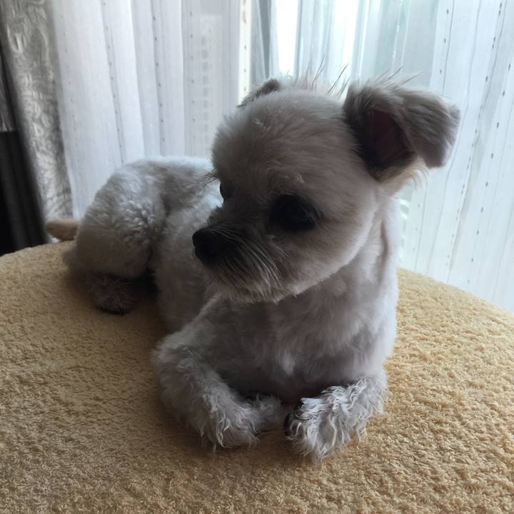 564983da 95aa 4806 a69a 548bd891d37f