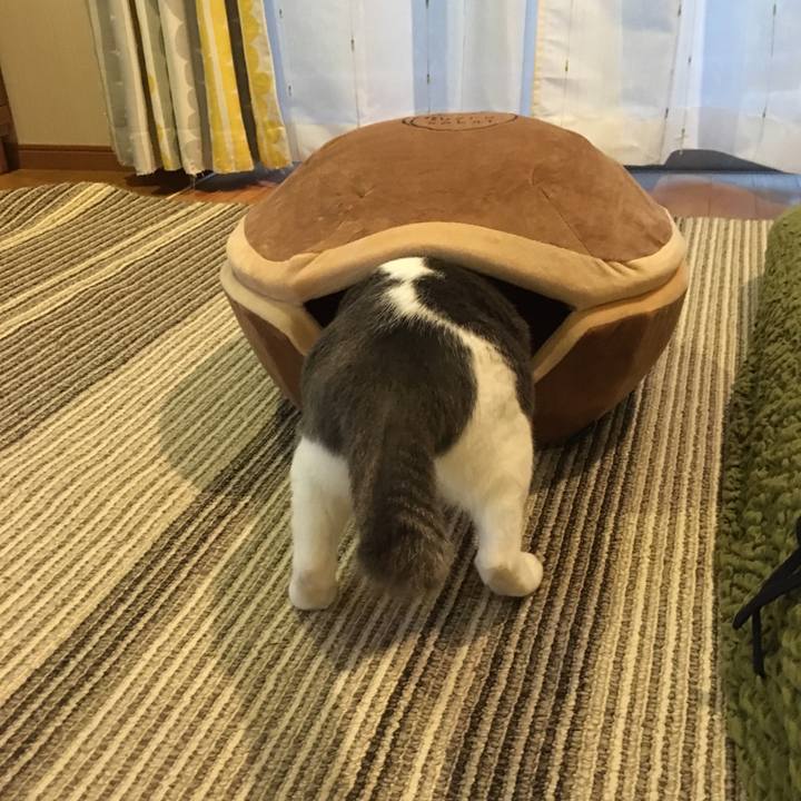 5649984e 7e64 43e2 931c eeef74d56dc7