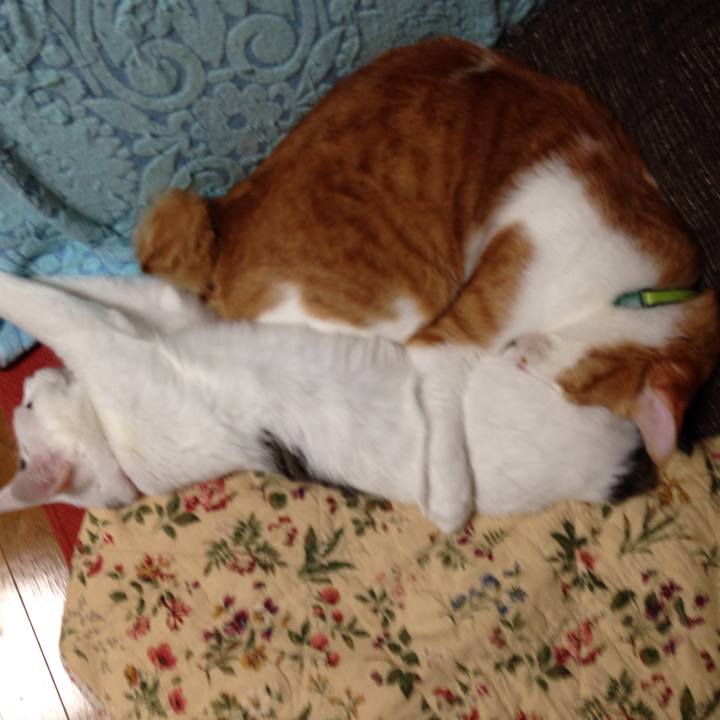 564a231e 7b81 4535 9324 f400b79d8a44