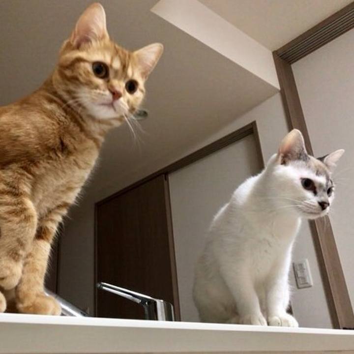 564a64ba 7221 4450 87d2 04dc80b3b38c