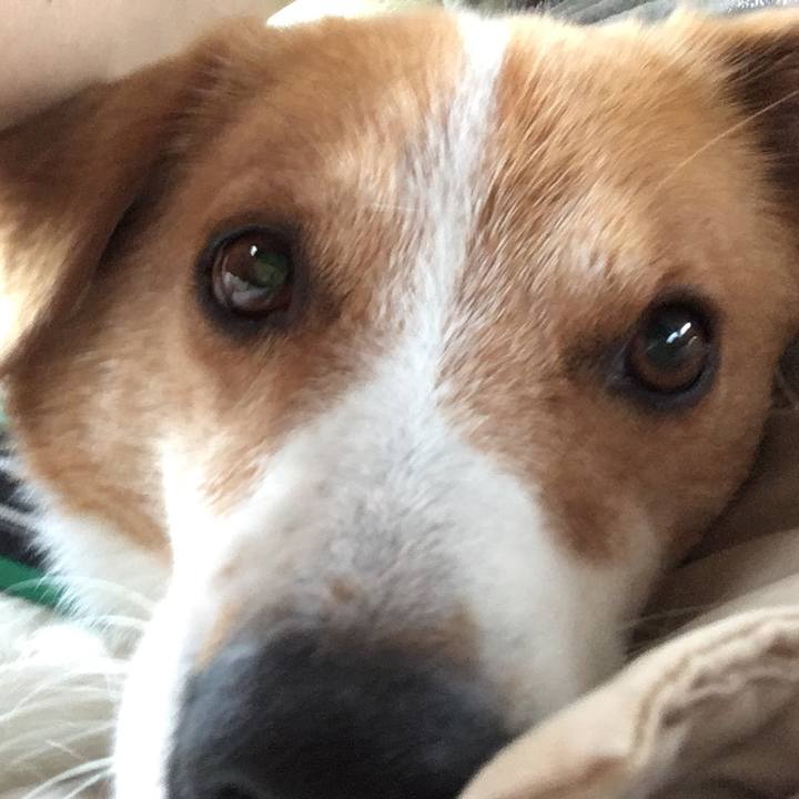 564ac6d7 fe6e 4764 8951 b20ad82fa1e9