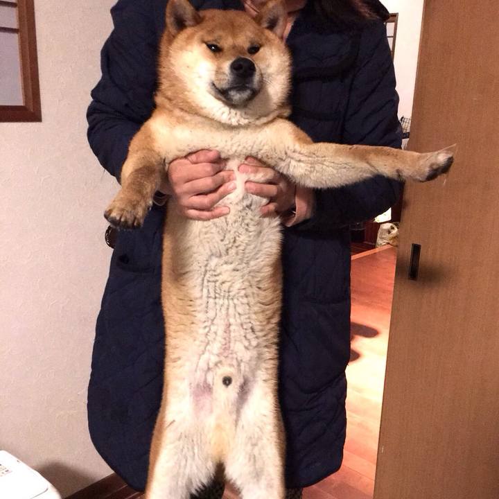 564b0214 8554 4a60 a5ca f6037d2762a9