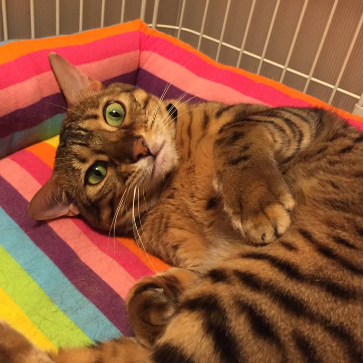 564b191a 3ed9 4481 acc5 42980117e57e