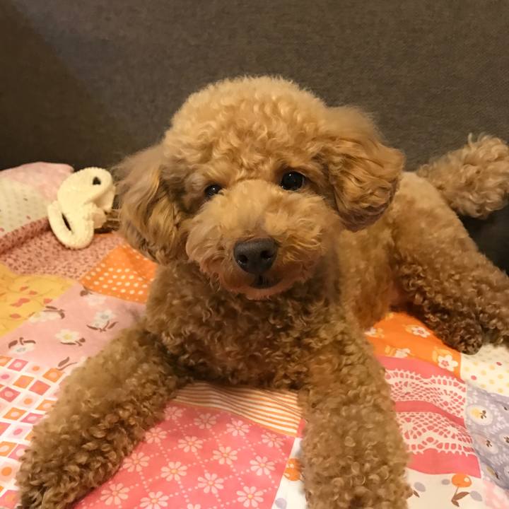 564bed70 4abc 4111 9368 ce662ea35285