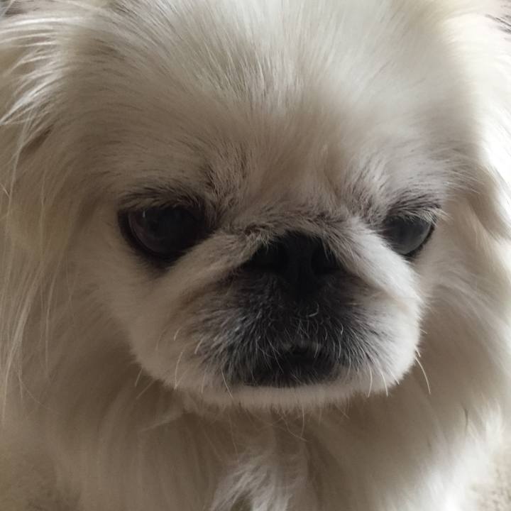 564c7d67 8ee3 4aea b602 2bbb11d6fc52