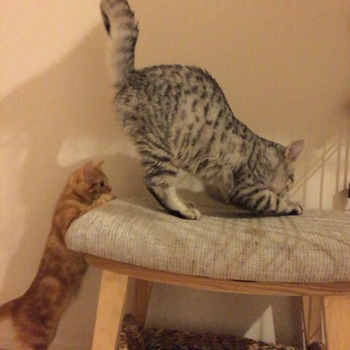 564cc8e6 9509 4d45 8a8e 170c4e939845