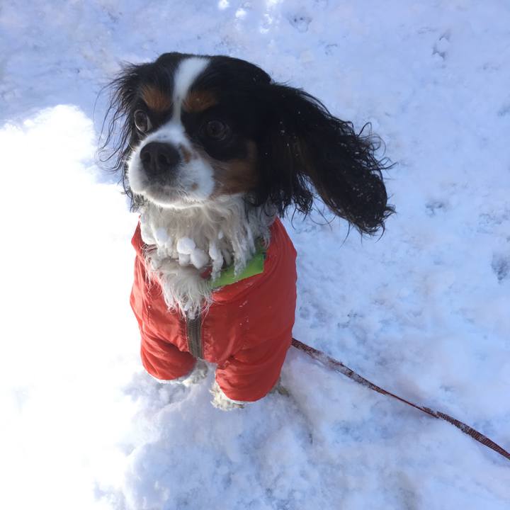 564dc3c4 3255 4d19 86f3 4bc9e2a1787a