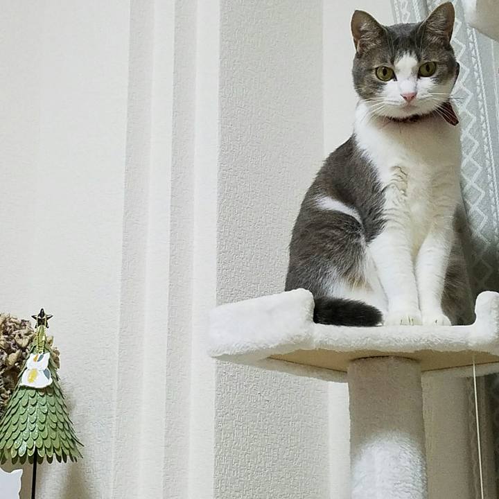 564dfb6b 9ab6 418f aa6f 37273fa26f05