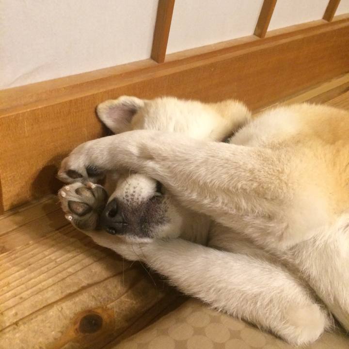 564e3506 1784 4e3d 96db 57275080d45a