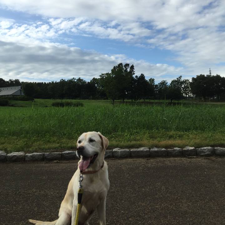 564eadea 9498 48fe bd58 c56165413aad