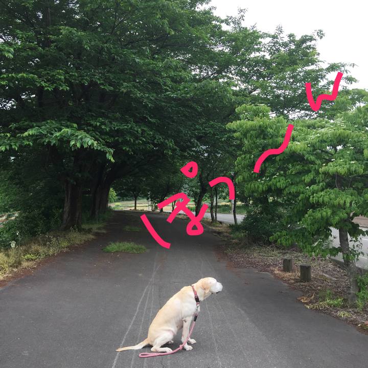 564eba1c 98fb 4302 9fbc 99c069a79754