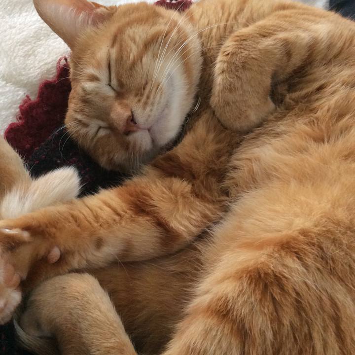 564f14d9 ce4d 4176 8ccf 3bf81edfddd6