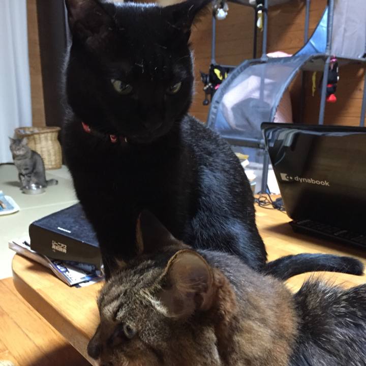 564fd2b2 a832 456a 9c25 d0abca31898b