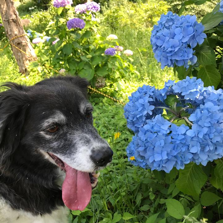 56506e34 73e5 41a0 94d1 a16a42de5c39