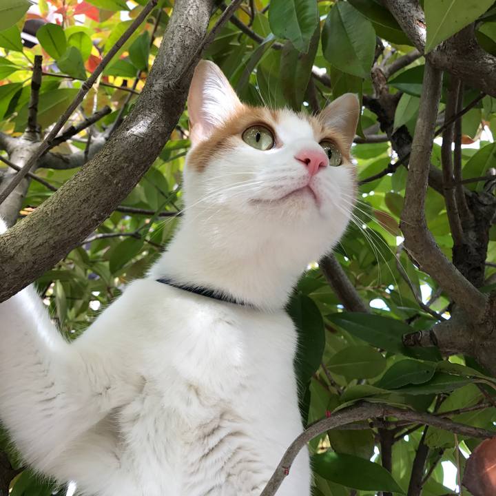 56506edd 2f9e 4983 bdb1 1201fc507530