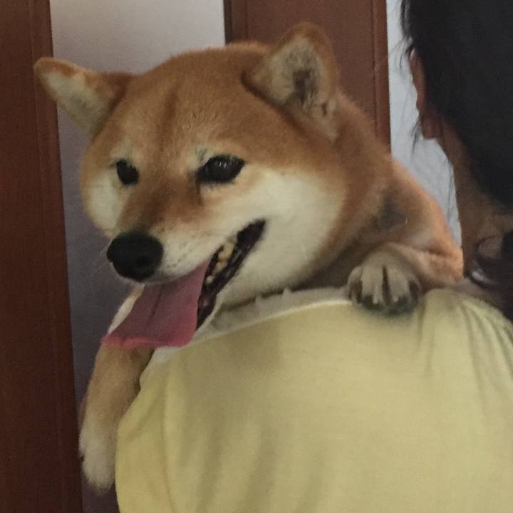 5650e053 2e5e 4865 ac5b 91840d0b4ef9