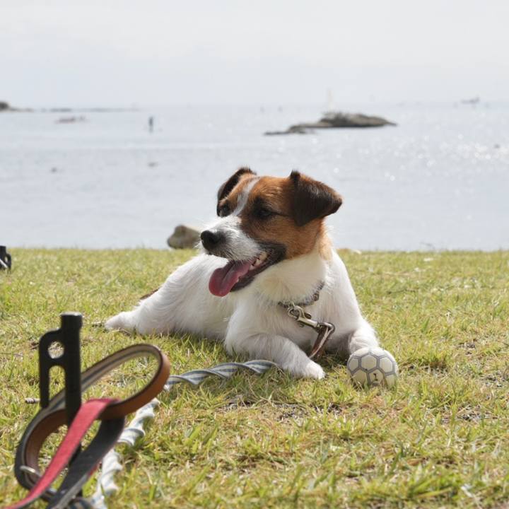 5650e52f 6238 4d10 852d 0bdcddae37ed