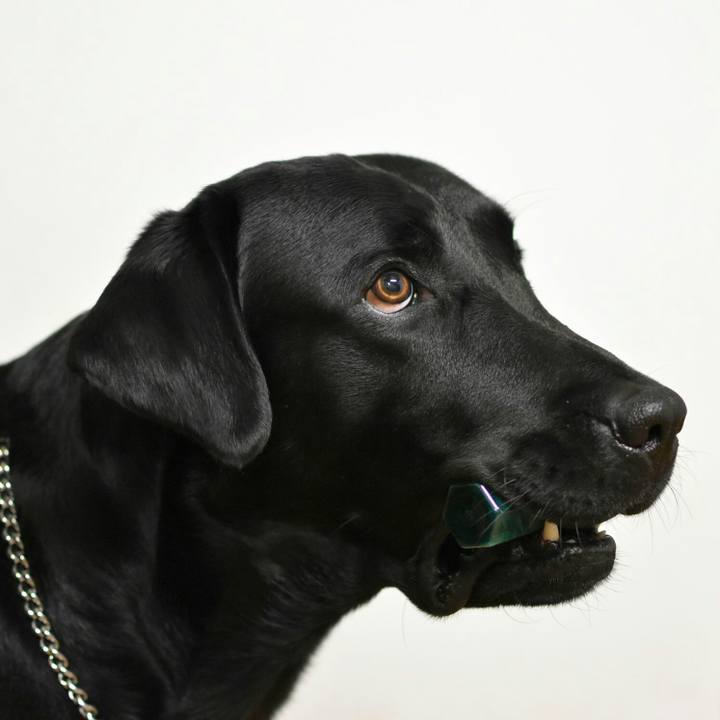 565174ec 49d8 4411 9798 2a1e6de12b3e