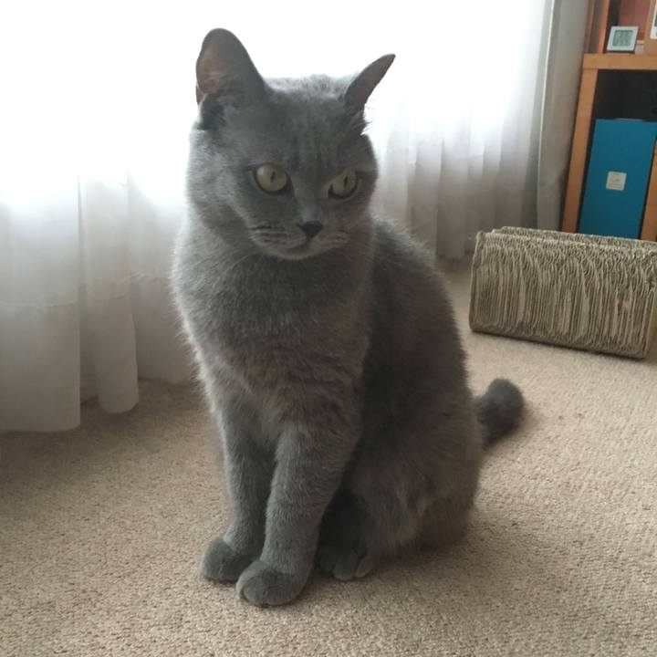 565218db 9f15 45e8 8352 2c87fced360a