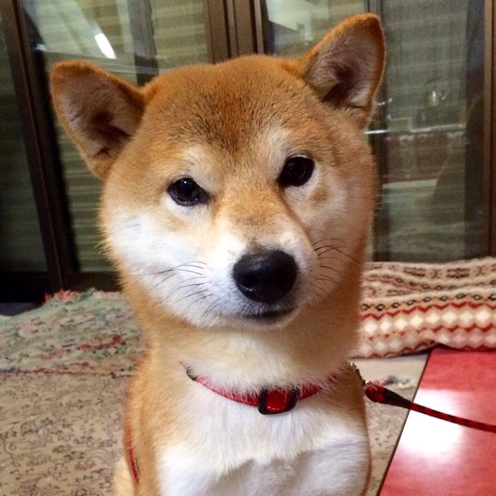 5652660c 5231 43b9 8311 1f9914d9293f