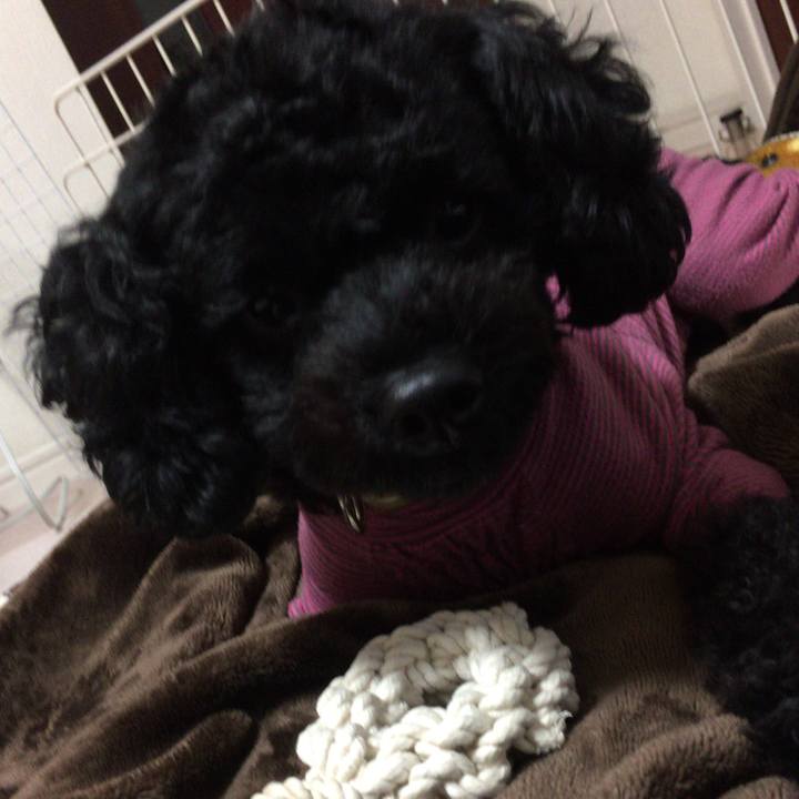 56526812 7ad1 43ac b22a 19509c25e8b0