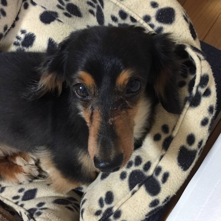 5652d0fd 227e 4dcc b6bb 7d3b072a3c72