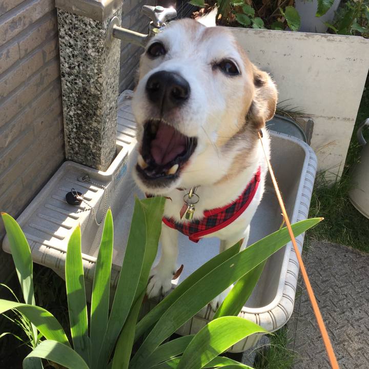 5653ad2a 71e8 4781 b194 4651a68fe326