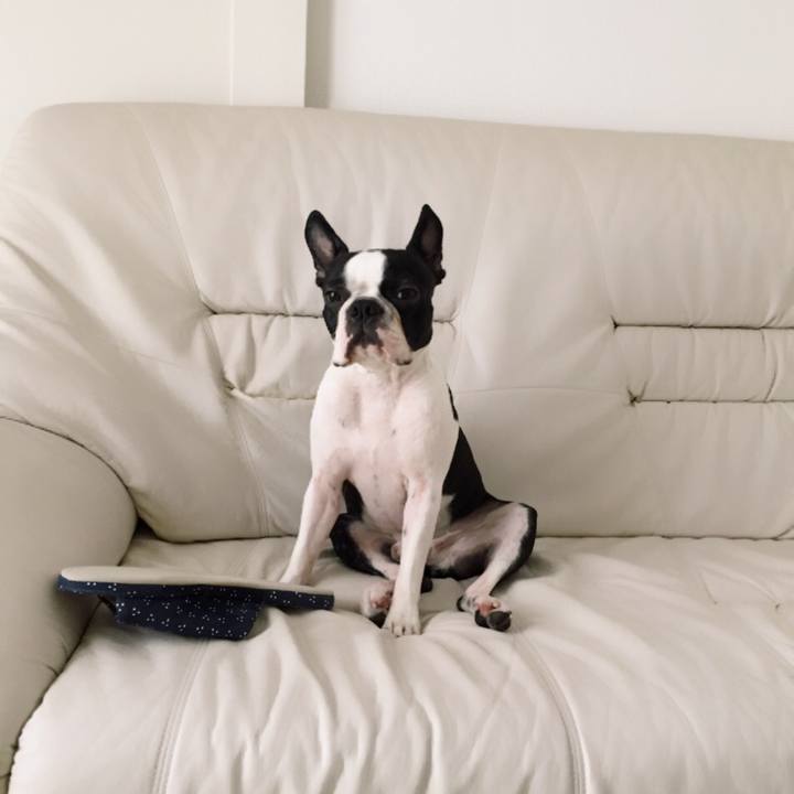 5653ef37 4205 4313 b4a0 181954ddc23f