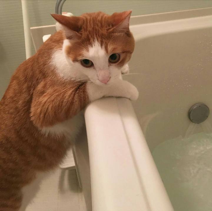 5654259d f794 4517 b81e 4a4fb35554c4