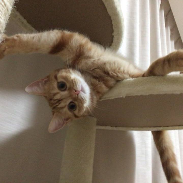 56550de8 ffbe 4db9 a1ca ec2d3b570e3a