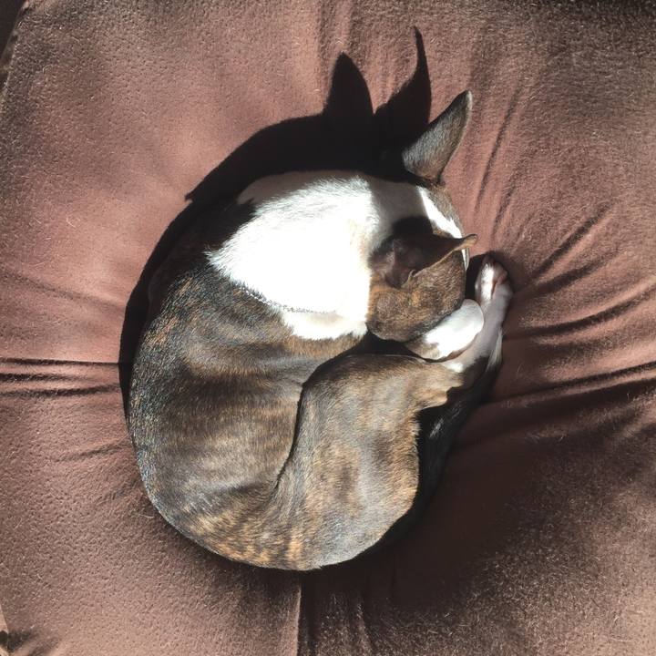 56551b60 3b96 4f9a 9d60 574eb2983684