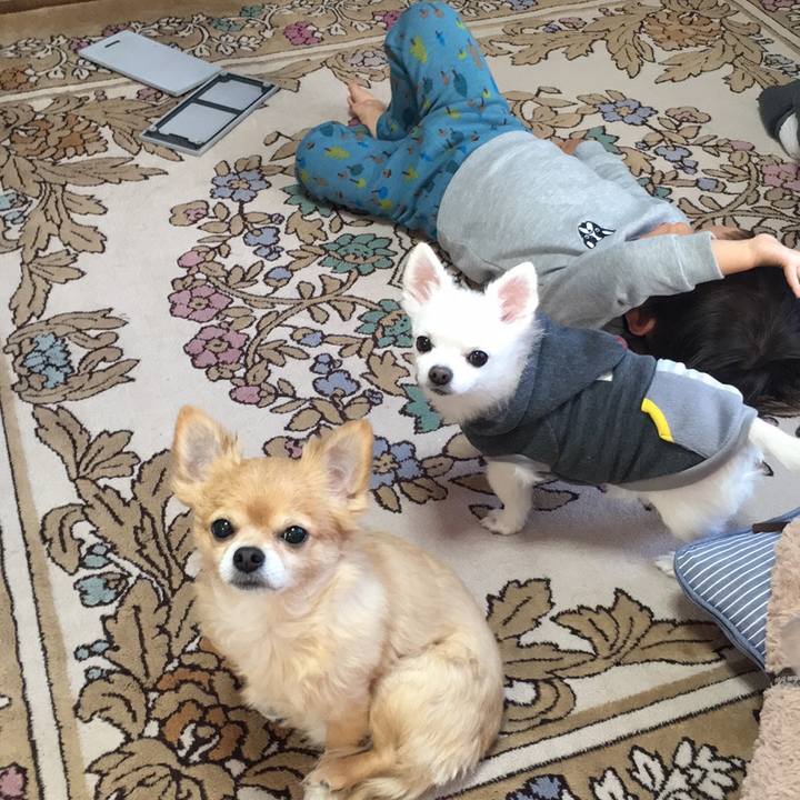 56558599 bba1 48fe 8ad6 8a0604f6e76c