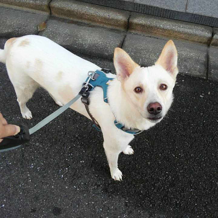 56558889 a0ce 4f19 80bd 46a24050405e