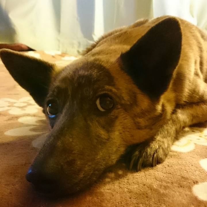 56558925 5f2b 4623 9338 3333460fa3d2