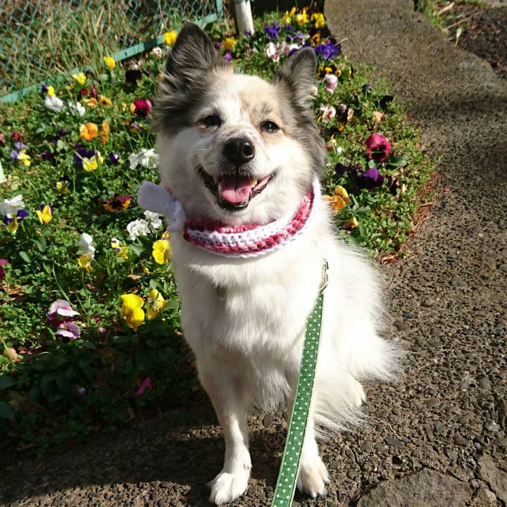 5656e8b9 f2d5 4d0b a82f f1df3830eca4