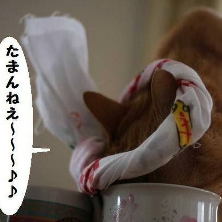 5657c422 f04e 4201 97bd 164a9f896b0b