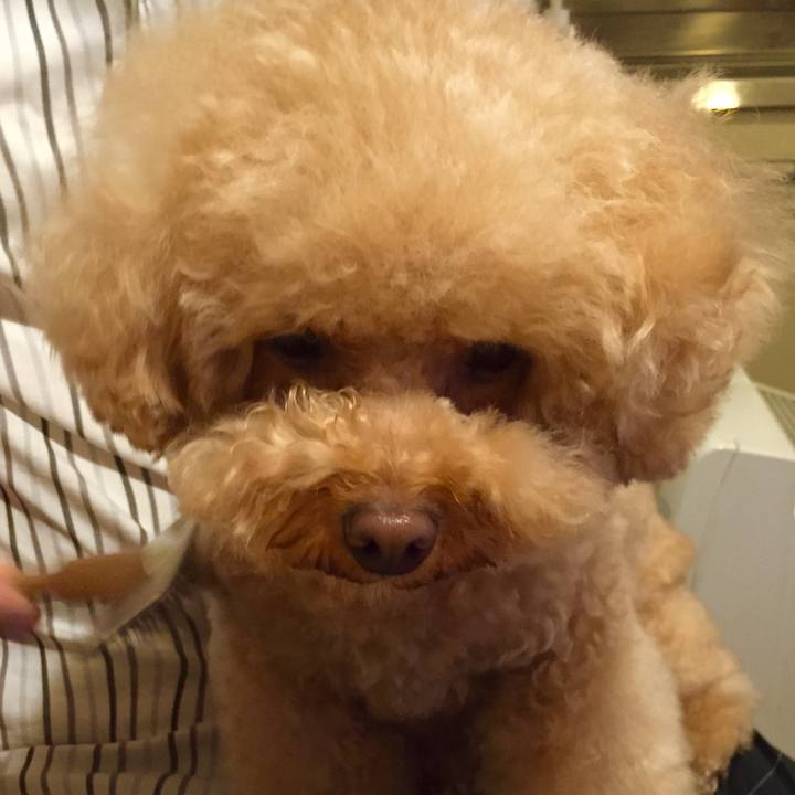 5657d8b8 c715 4d0e ab4e 9d34dcb9c2c9