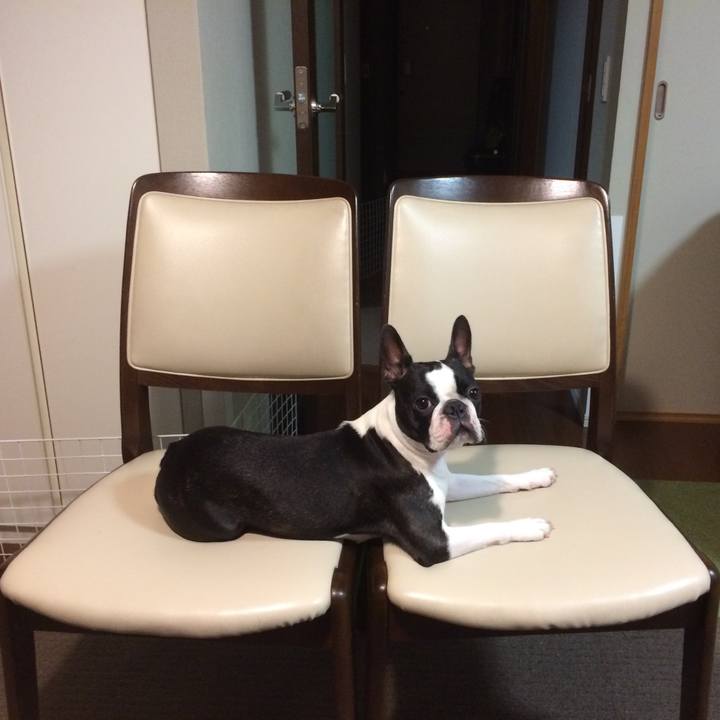 5657f672 de06 48bc bf26 7468a6da557e