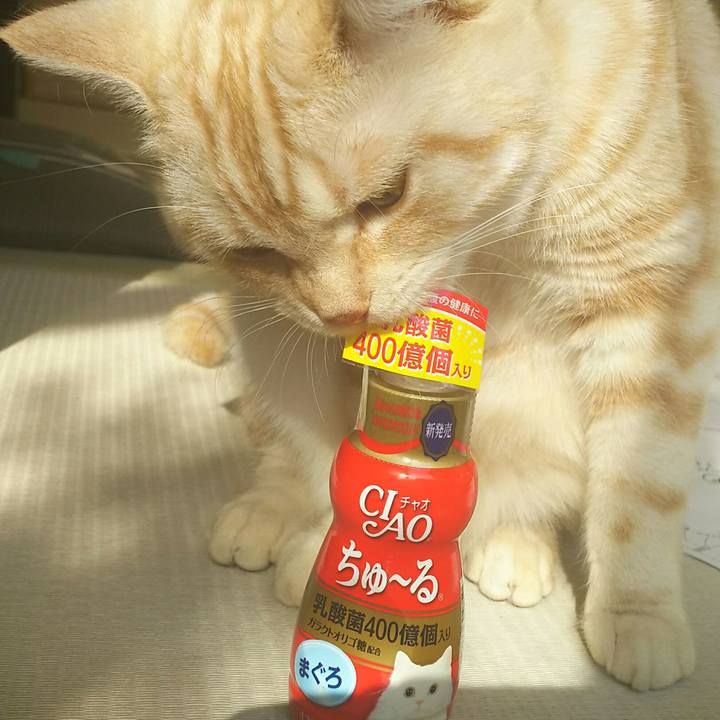 5658157b e5fa 4a07 b78a 49e925daea22