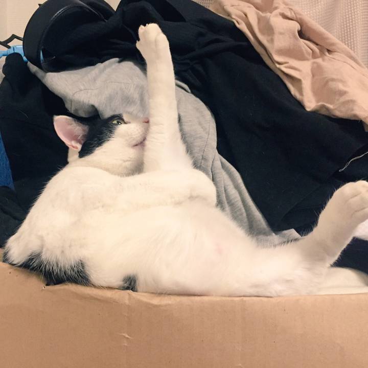 56585c32 b4f0 4af2 9d9e b130729198d1