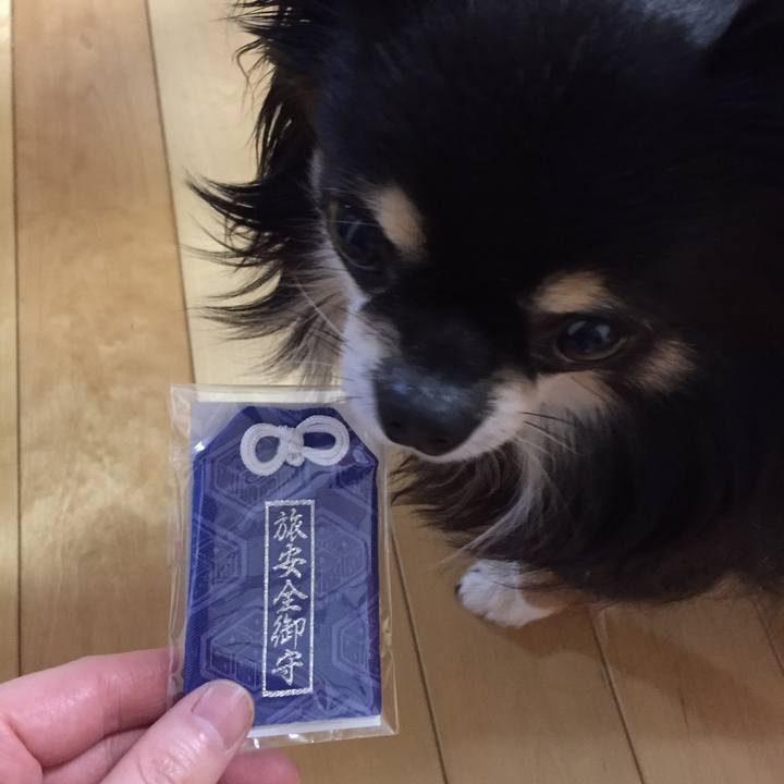 56588a15 3fcb 4cf0 b776 a5b6bb98e0d1