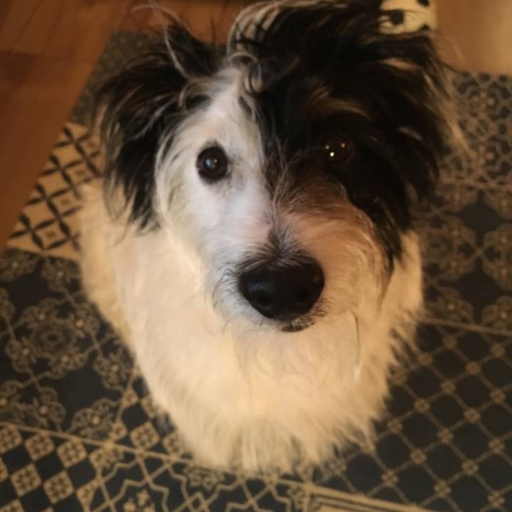 5658e6cd 9570 4fd2 a655 4ae22ad3cb2e