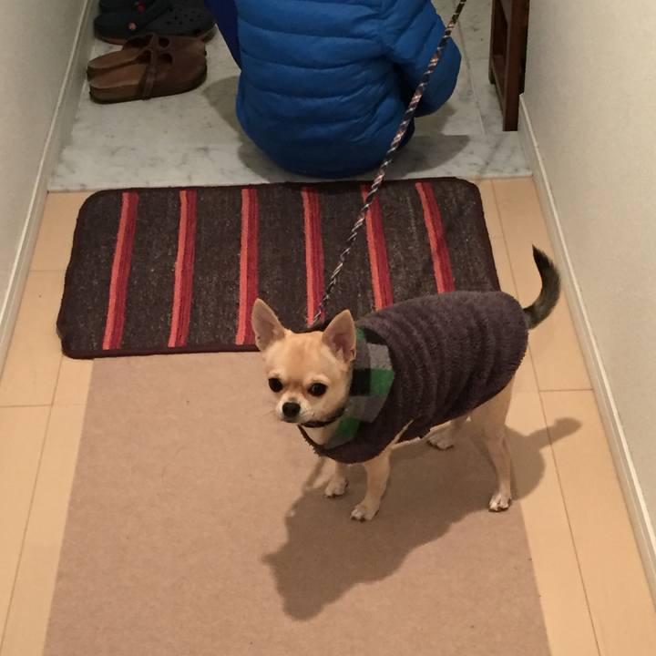 565965d4 8390 4a97 b579 1fd111293303