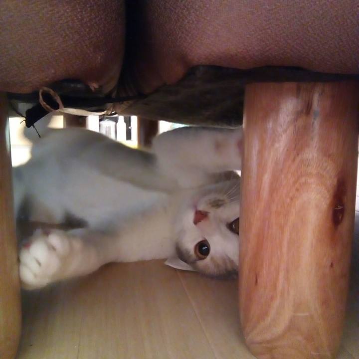 5659a4e7 fde9 4c77 a35c d2c02f8f322e