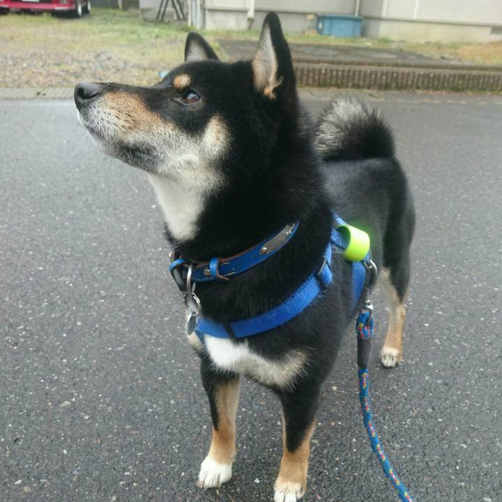 565a3fec bcde 41b0 9eea 9535c642bab7